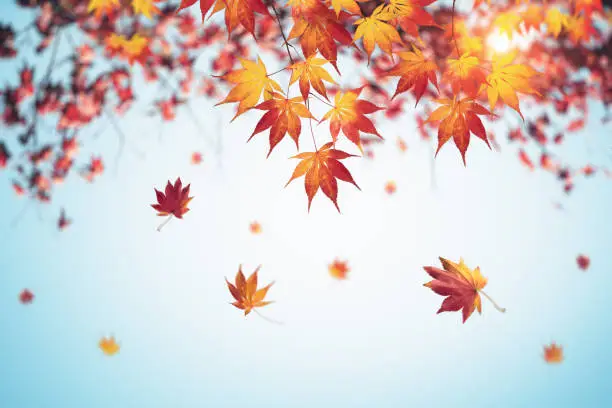 Otoño en Huelva